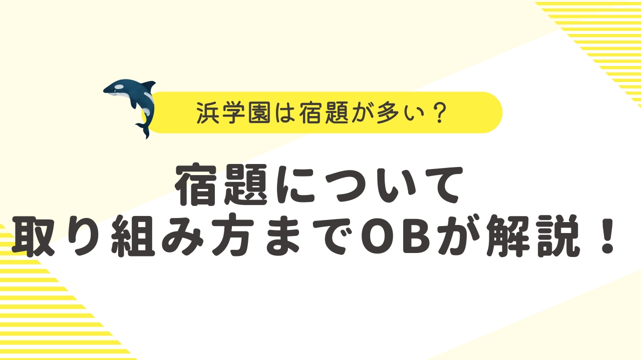 浜学園の宿題は多すぎ？量の実態と口コミ・両立のコツをOBが解説 